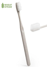 Personalise Toothbrush Cleidol - Custom Eco Friendly Gifts Online