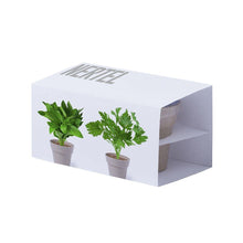 Personalise Flowerpot Set Nertel - Custom Eco Friendly Gifts Online